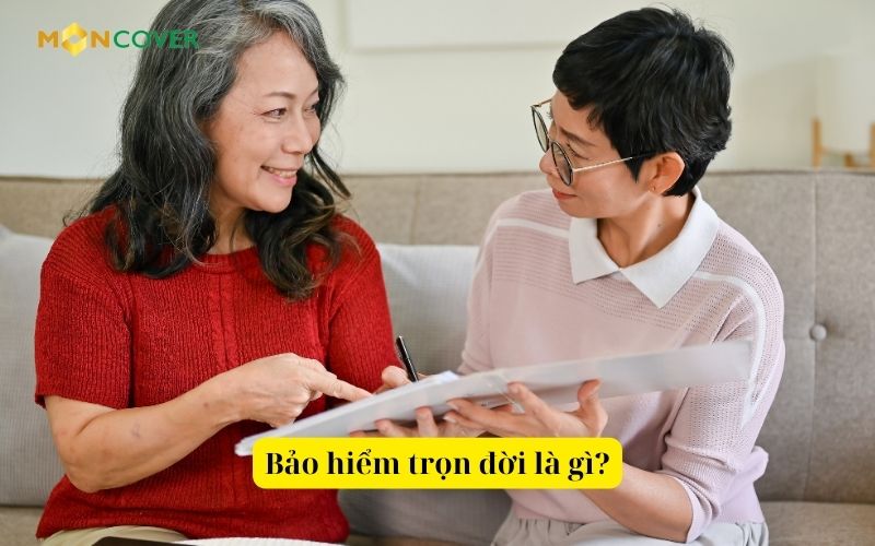 Bảo hiểm trọn đời là gì