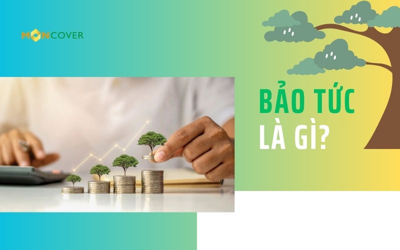 Bảo tức là gì