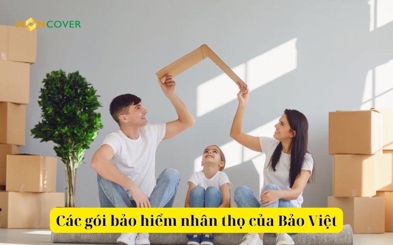 Các gói bảo hiểm nhân thọ của Bảo Việt