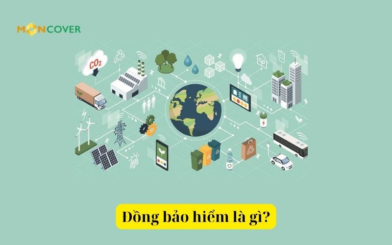 Đồng bảo hiểm là gì