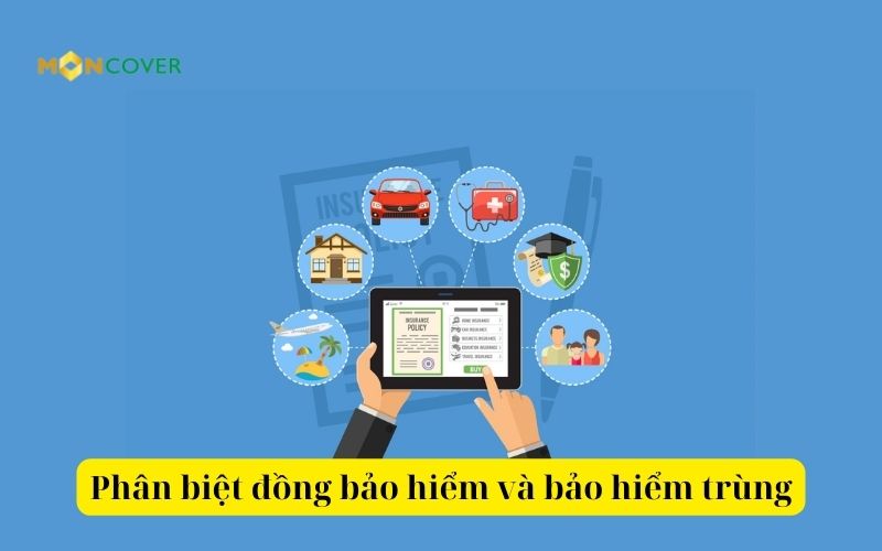 Đồng bảo hiểm là gì