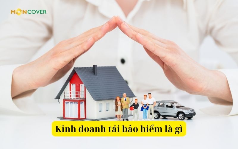 Kinh doanh tái bảo hiểm là gì