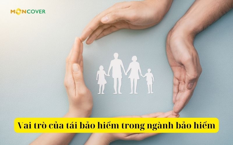 Kinh doanh tái bảo hiểm là gì