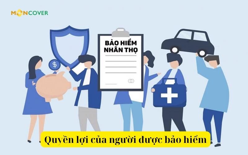 Người được bảo hiểm là gì