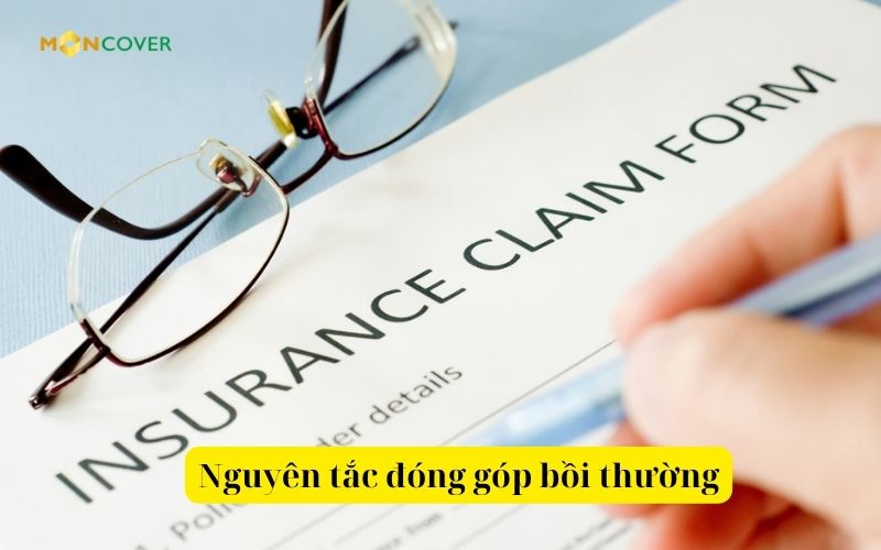 Nguyên tắc đóng góp bồi thường