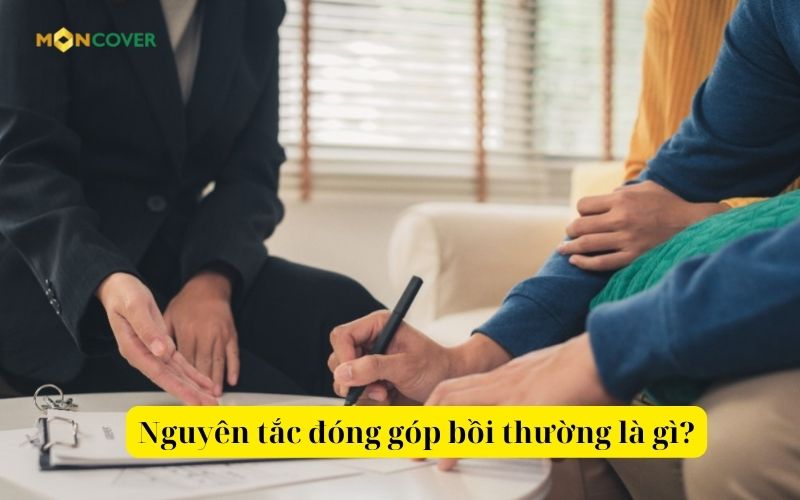 Nguyên tắc đóng góp bồi thường