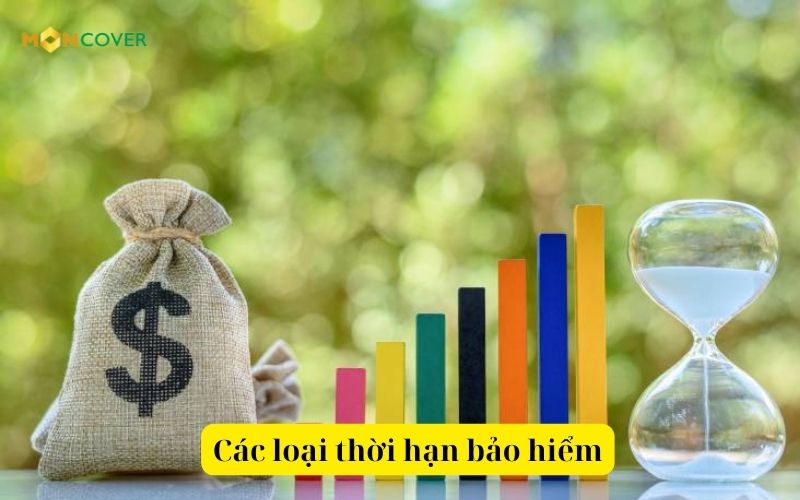 Thời hạn bảo hiểm là gì