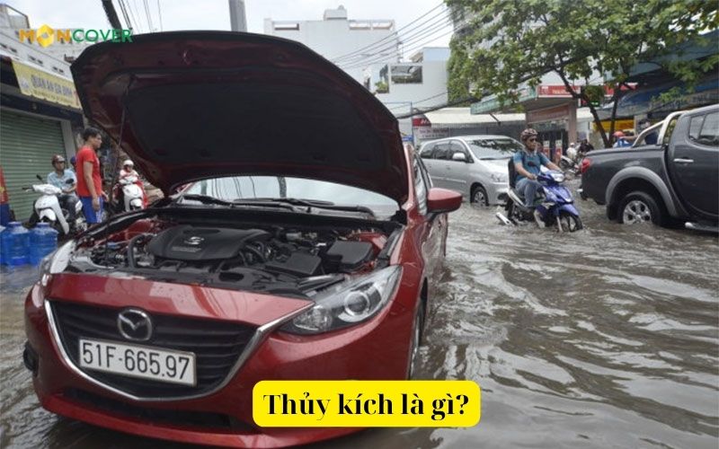 Thủy kích là gì