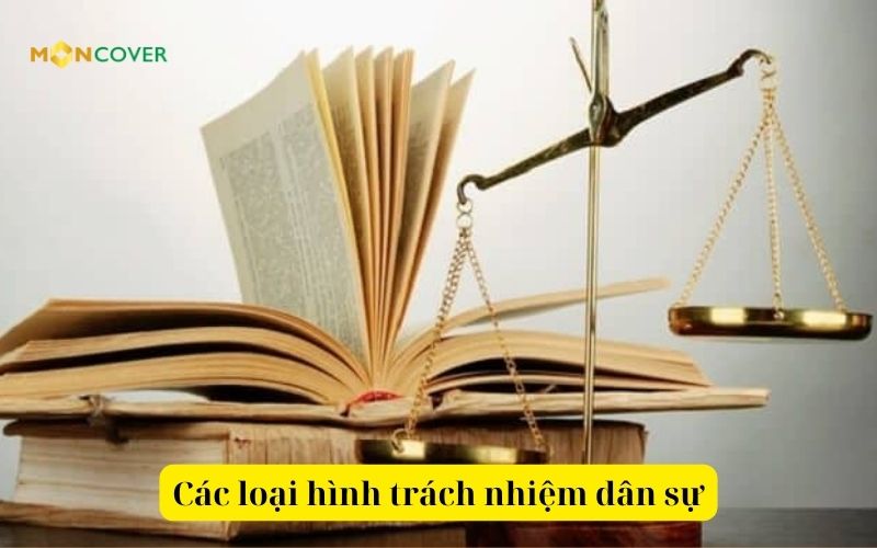 Trách nhiệm dân sự là gì