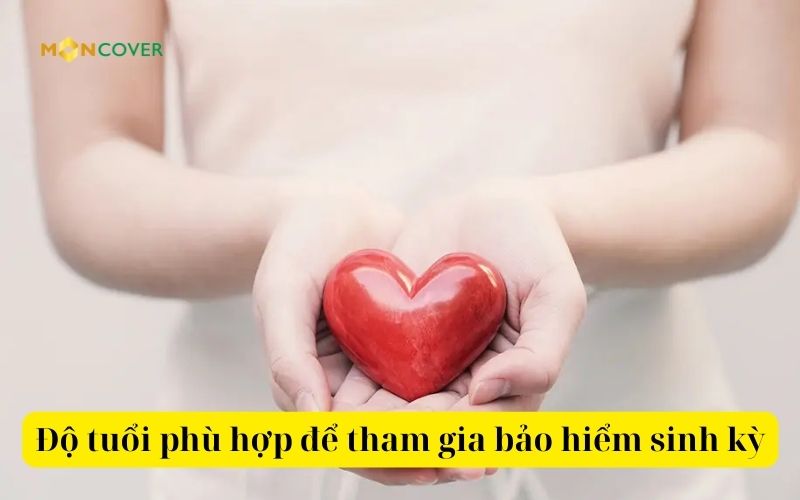 Bảo hiểm sinh kỳ là gì