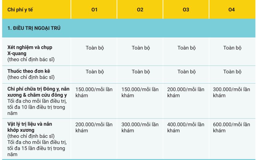 liberty medicare moncover