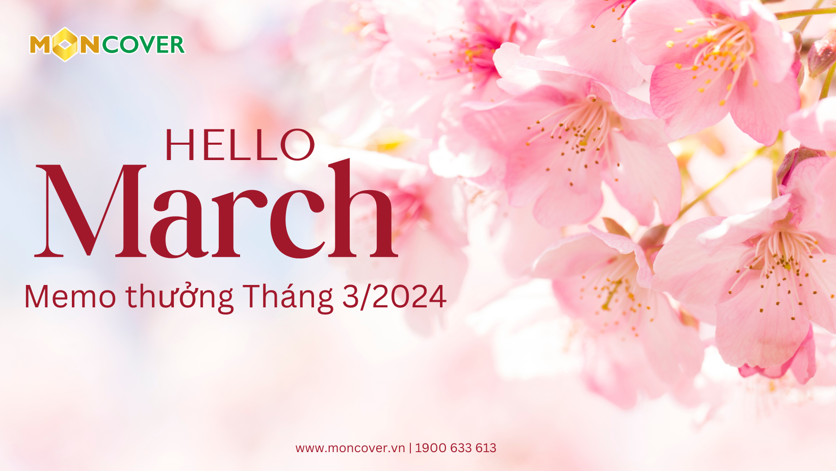 Hello March - Thưởng Tháng 3 rộn ràng